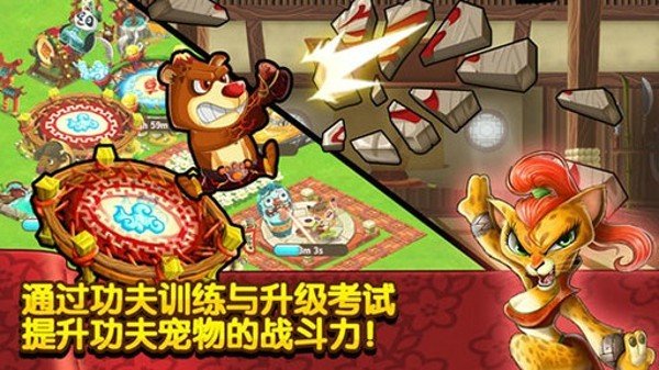 功夫宠物 版本:v1.3.7