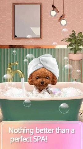 宠物化妆师 v1.0