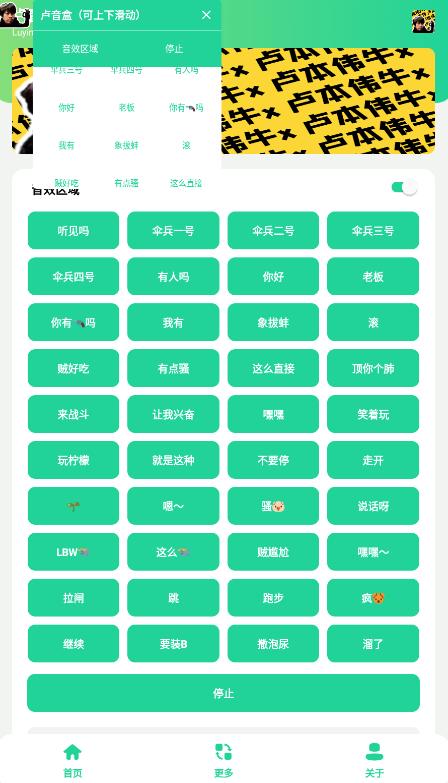 卢音盒  v1.0