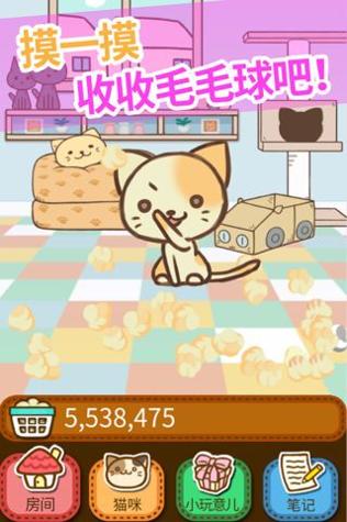 小猫我们能赢 v3.0.5