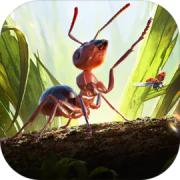 小小蚁国国际版