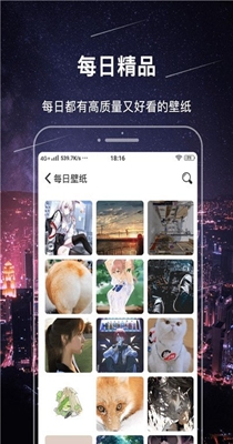 手机主题壁纸精灵 1.0