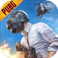 pubg地铁逃生(日韩服)手游下载正版2022