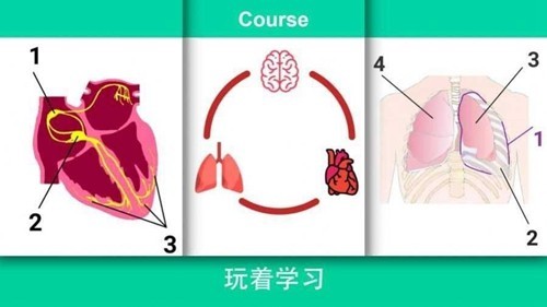 真实医疗模拟器(中文版)