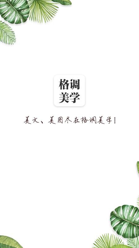 格调美学  v1.02