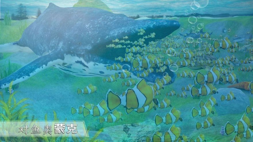 全民养鲸鱼 2020-07-08 11:56