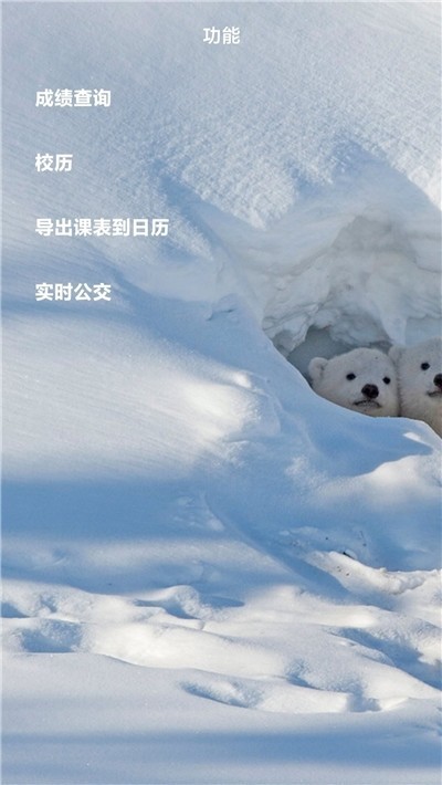 辽大 2020-03-17 08:49