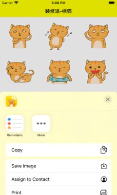 抖音装修派棕猫表情包 v1.0