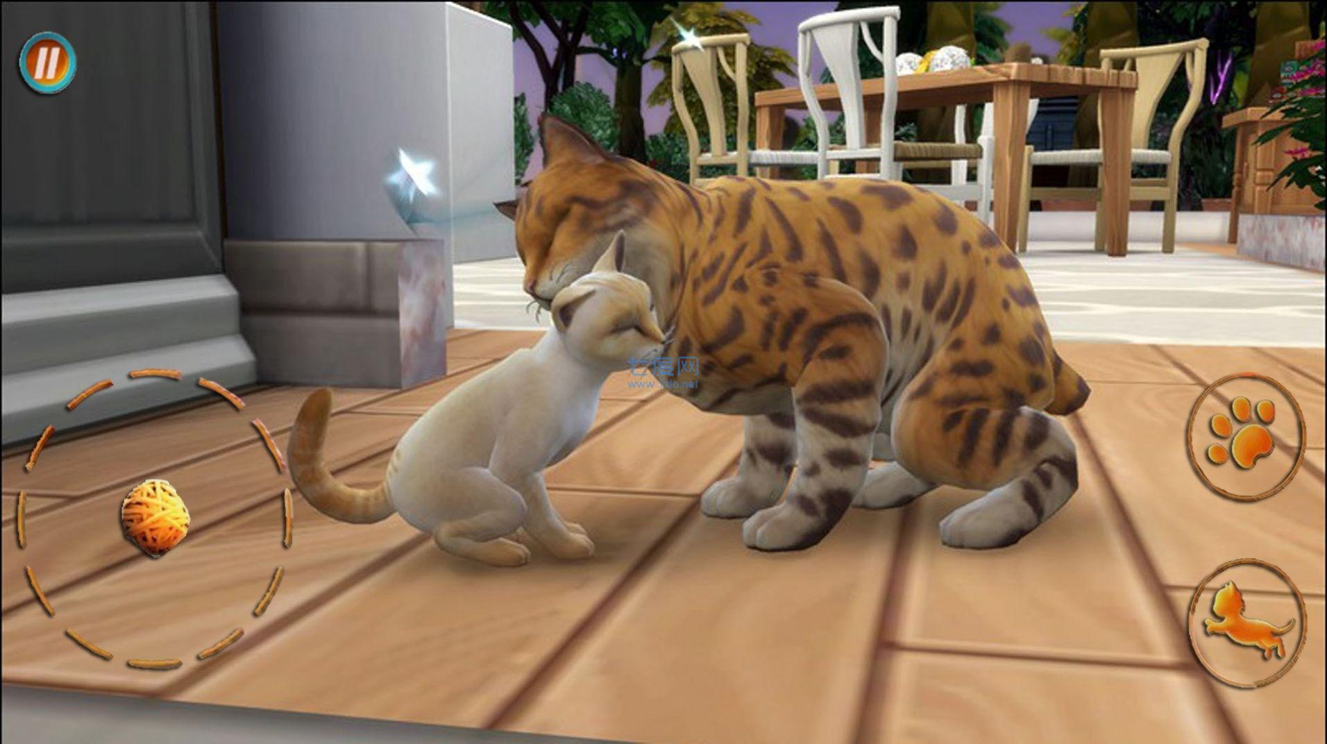 猫咪想恋爱游戏 v300.1.0.3018