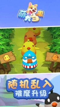 萌犬当家 2019-12-03 18:16