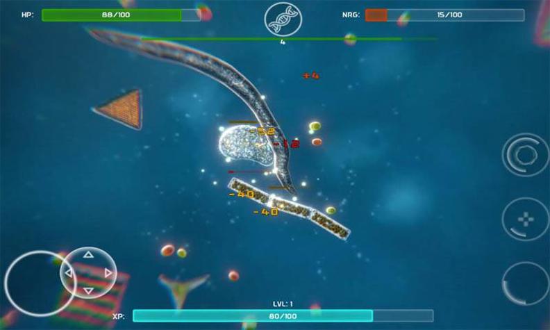 孢子的起源 v40.54