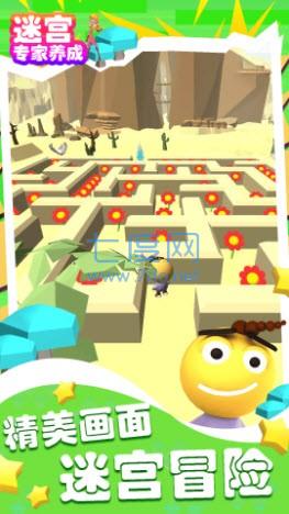 迷宫专家养成