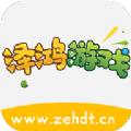 泽鸿游戏
