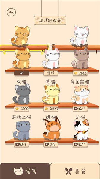 夏天的乐队  v1.0.1