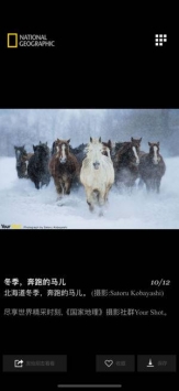 国家地理ios版 v2.0.5
