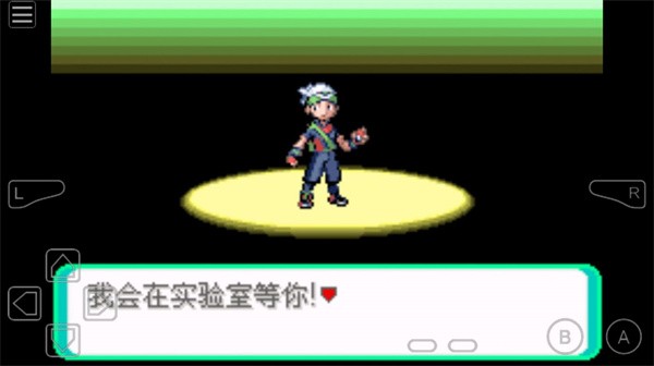 精灵宝可梦rogue  v_