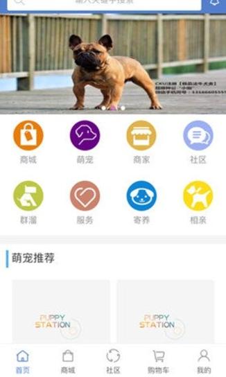 宠易得宠物服务 v1.0.2