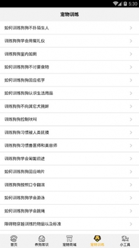 狗语翻译器 v2.0.5