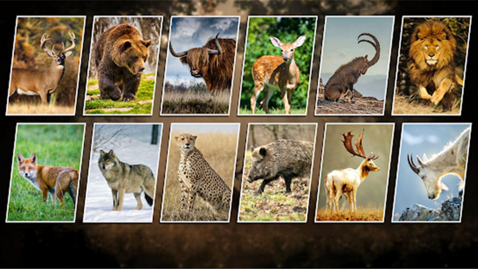 荒野狩猎求生游戏安卓版  v3.3.3