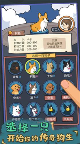 狗生模拟器破解版内置修改器版 v1.0.12
