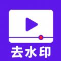 流年去水印