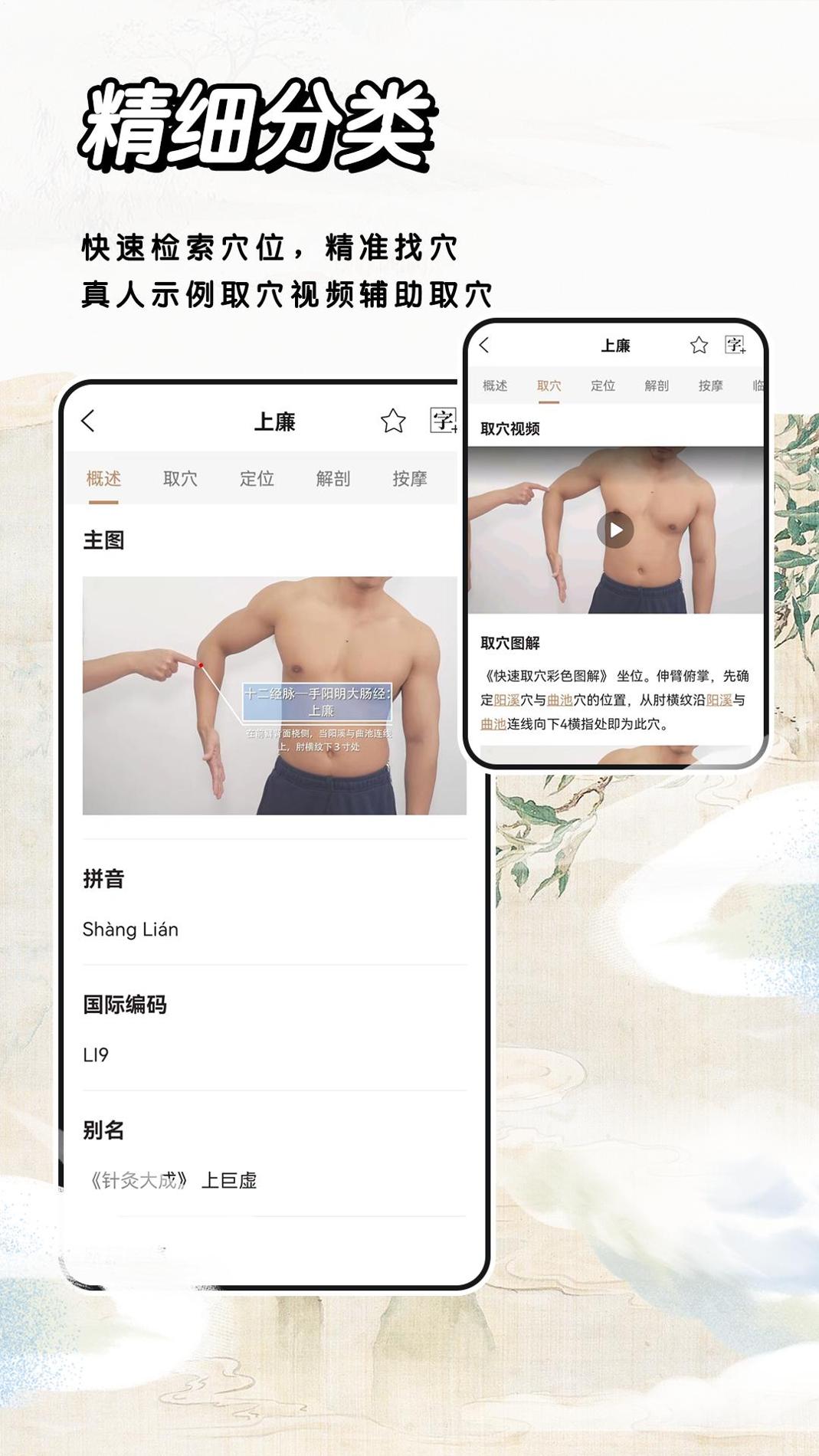 经络穴位 v3.2.5