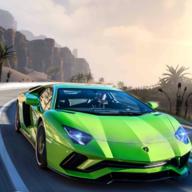 交通巡回赛车手(Traffic Tour Racer)