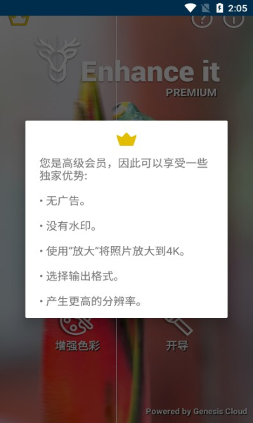 Enhance It会员解锁