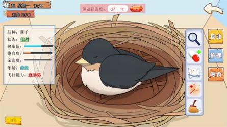 鸟巢 v3.0.5