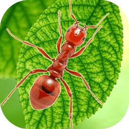 地下蚁国免费手机版