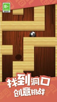 弹珠迷宫 v3.0.5