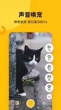 爪叽 v3.0.5