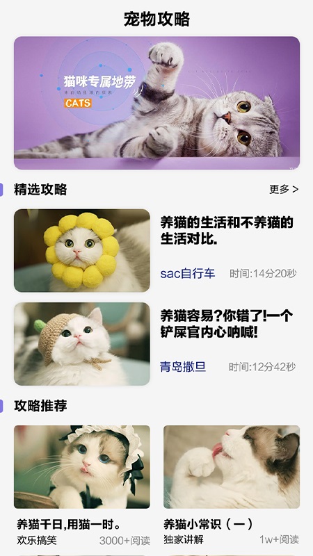 可爱喵喵壁纸大全 1.0