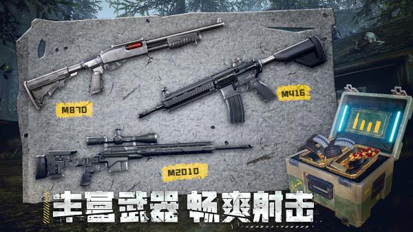 Project:GAIA国际服