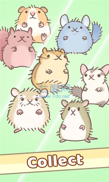 仓鼠跑跑跑