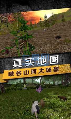 蜘蛛模拟生存 v1.0