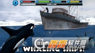 虎鲸模拟(OrcaSim) v1.0.1