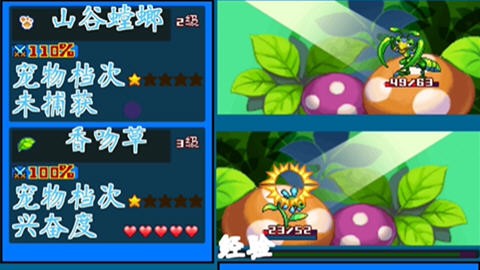 宠物王国5正版  v9.9