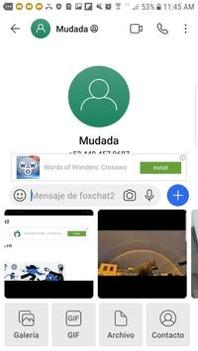 foxmail v3.0.5