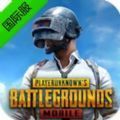 pubg国际服安装包最新版免费下载 