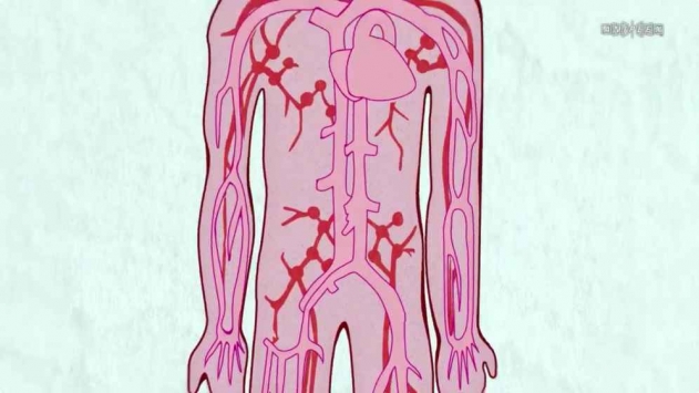 永远的工作细胞 v2.5.5
