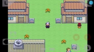 口袋妖怪全随机改版802手机版 v1.18.0