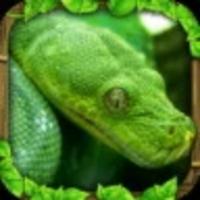 蟒蛇模拟器手机版