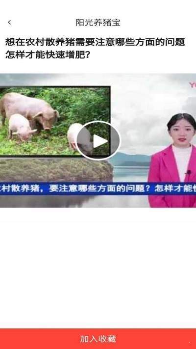阳光养猪宝