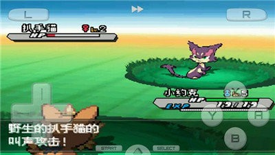 口袋妖怪白2  v3.0