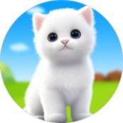 宠物猫生活模拟器3D