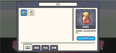 口袋妖怪DS内测版 2024-06-25 15:08