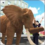 大象城市横冲直撞