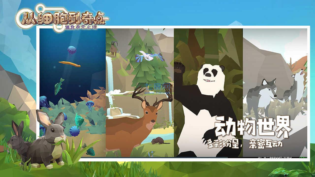 从细胞到奇点进化永无止境