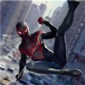 蜘蛛侠盗都市游戏官方版 